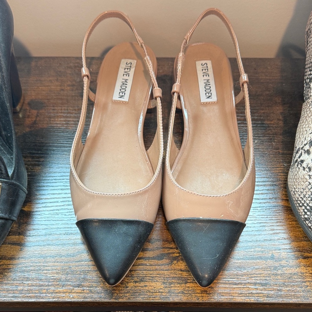Steve Madden Women's Black and Tan Pointed Flats